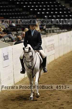 Proof 10buck_4513