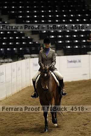 Proof 10buck_4518