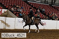 10buck_4521 proof