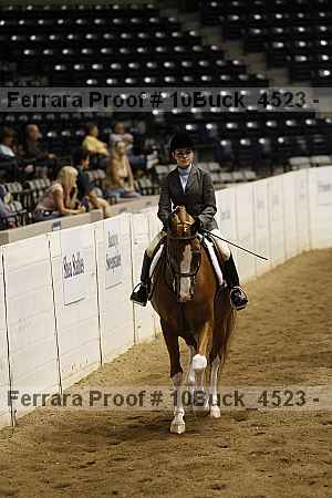 Proof 10buck_4523