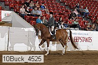 10buck_4525 proof