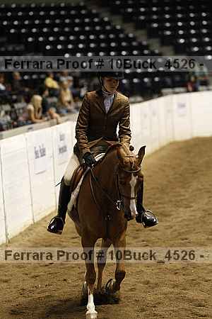Proof 10buck_4526