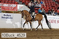 10buck_4529 proof