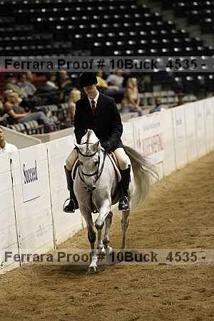 Proof 10buck_4535