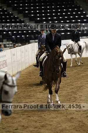 Proof 10buck_4536