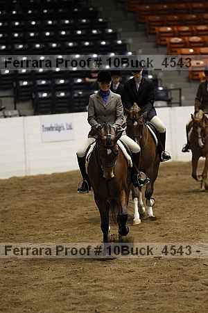 Proof 10buck_4543