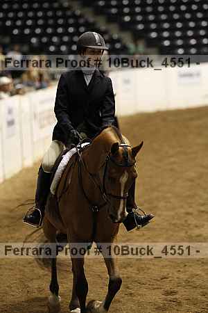 Proof 10buck_4551