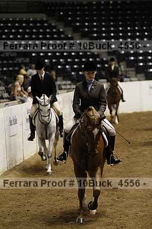 Proof 10buck_4556