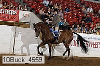 10buck_4559 proof