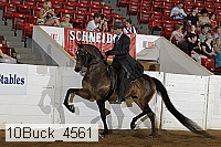 10buck_4561 proof