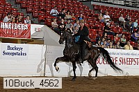 10buck_4562 proof