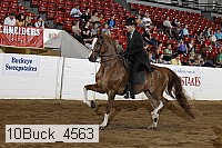 10buck_4563 proof