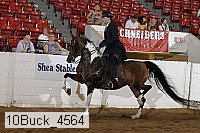 10buck_4564 proof