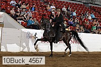 10buck_4567 proof