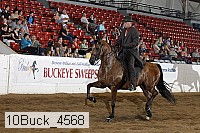 10buck_4568 proof