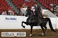 10buck_4569 proof