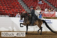 10buck_4570 proof