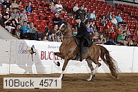 10buck_4571 proof
