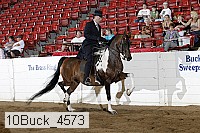 10buck_4573 proof