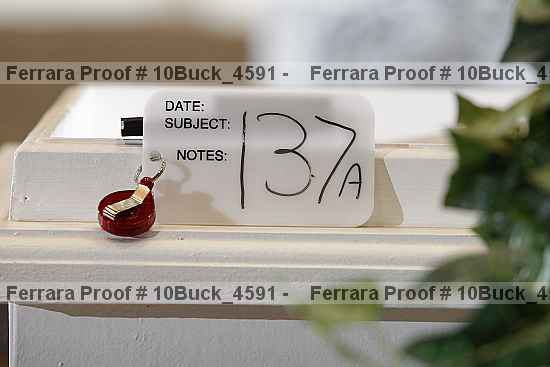 Proof 10buck_4591