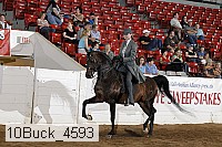 10buck_4593 proof