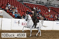 10buck_4599 proof