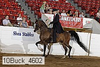 10buck_4602 proof