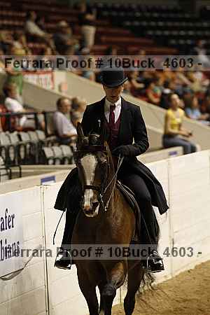 Proof 10buck_4603