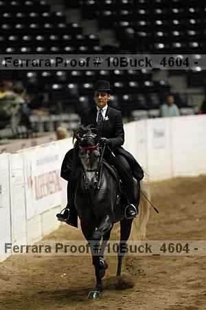 Proof 10buck_4604
