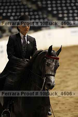 Proof 10buck_4606