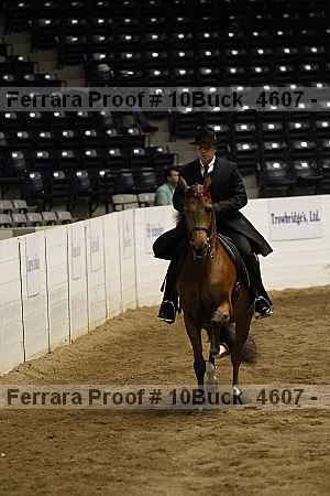 Proof 10buck_4607