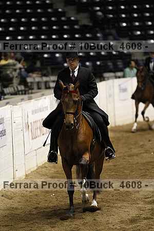 Proof 10buck_4608