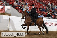 10buck_4609 proof