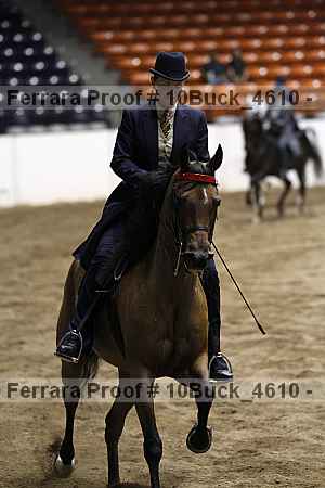Proof 10buck_4610