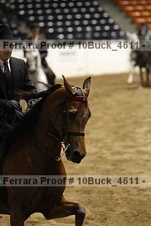 Proof 10buck_4611