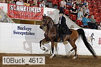 10buck_4612 proof