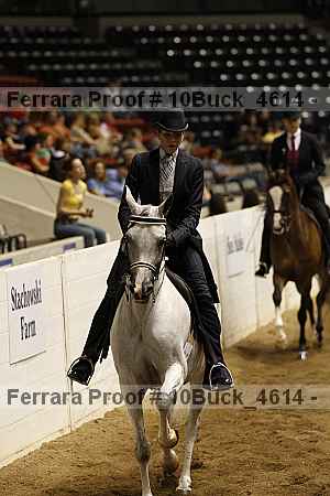 Proof 10buck_4614