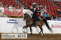 10buck_4615 proof