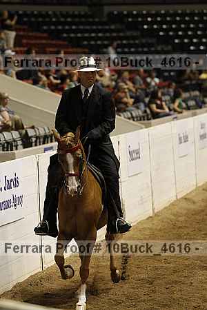 Proof 10buck_4616