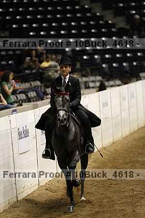 Proof 10buck_4618
