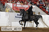 10buck_4619 proof