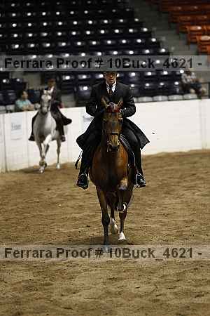 Proof 10buck_4621