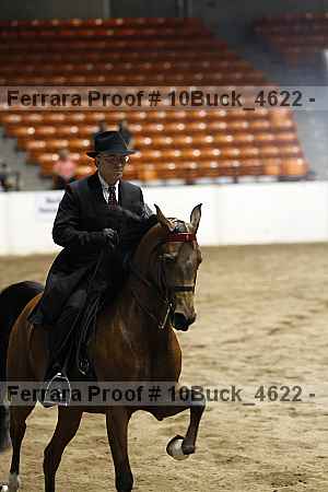 Proof 10buck_4622