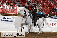 10buck_4623 proof