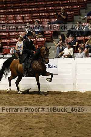 Proof 10buck_4625