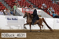 10buck_4631 proof