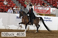 10buck_4635 proof