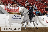 10buck_4637 proof