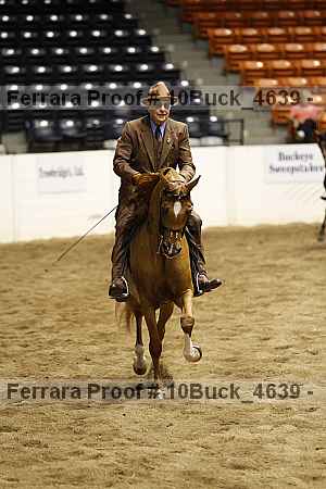 Proof 10buck_4639