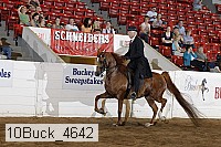 10buck_4642 proof